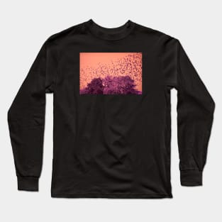 The Birds / Swiss Artwork Photography Long Sleeve T-Shirt